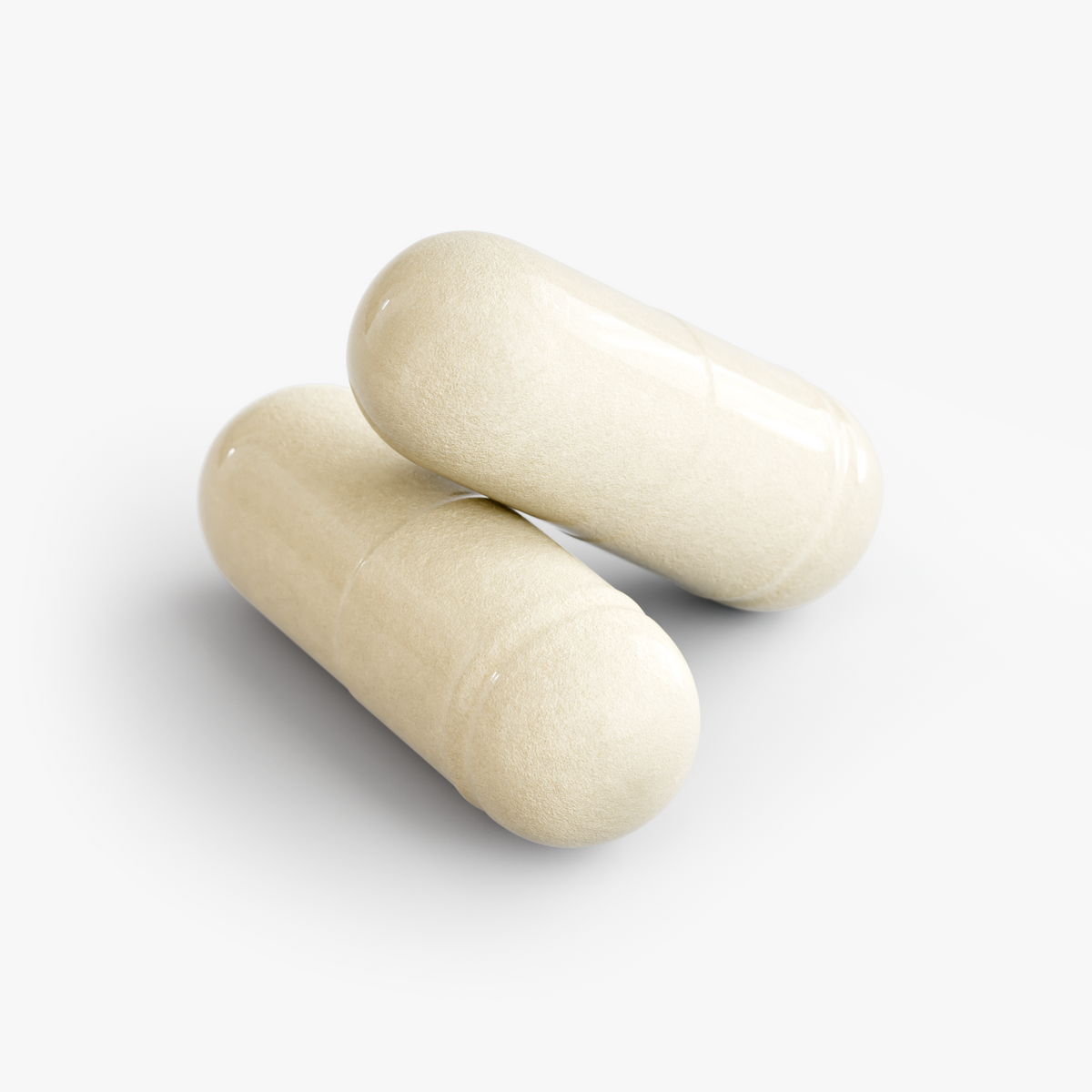 Daily Probiotic 20B